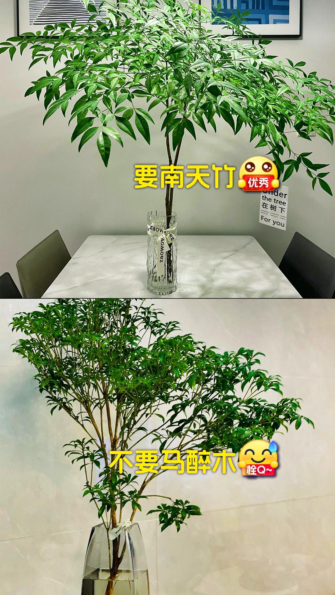 13343467395505080.jpeg