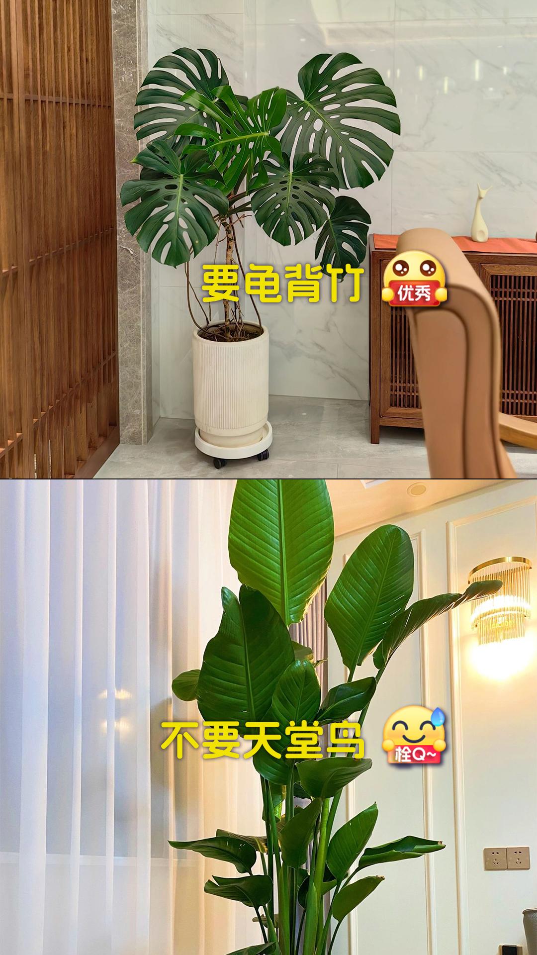 1.jpeg