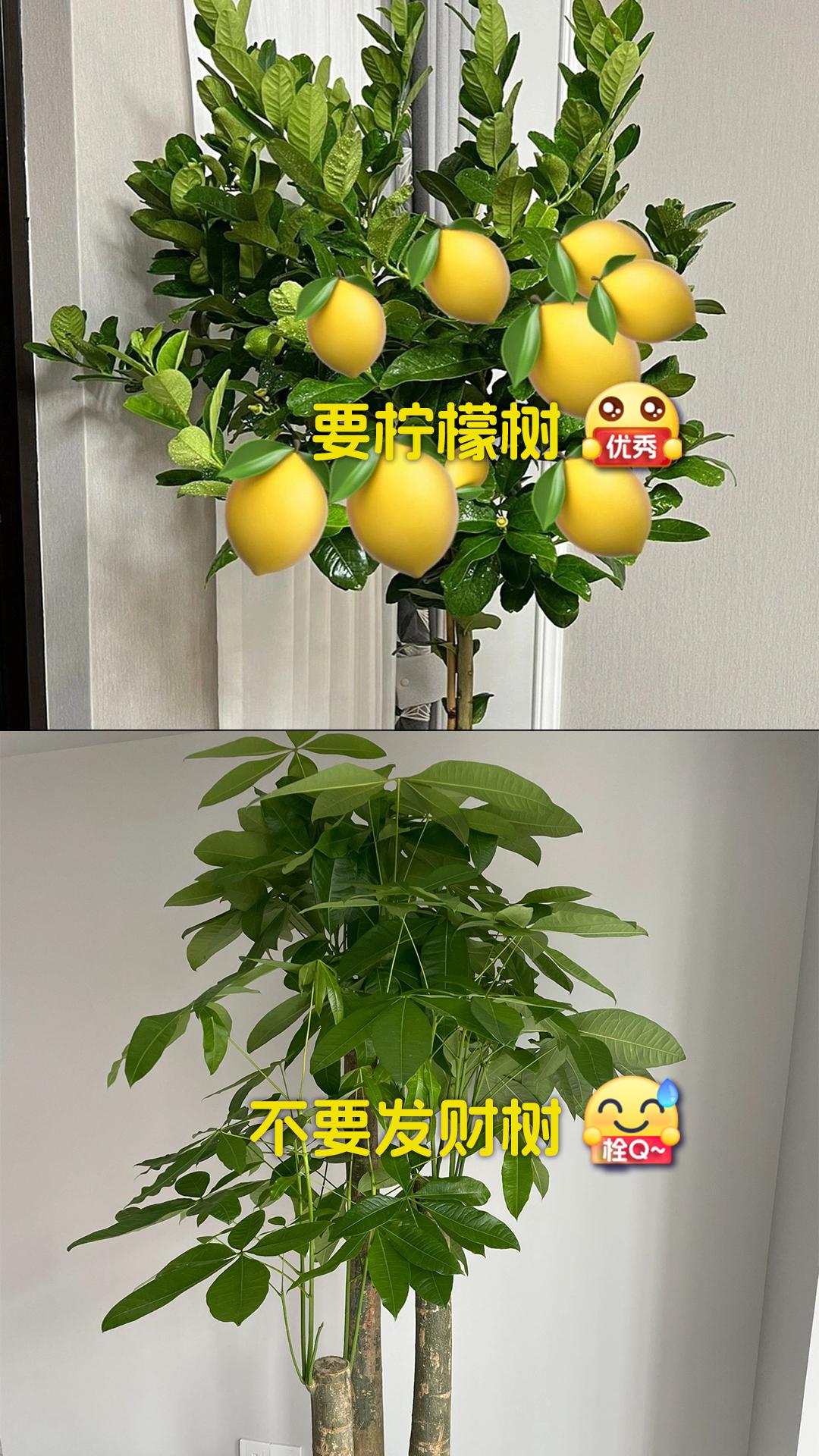 2.jpeg